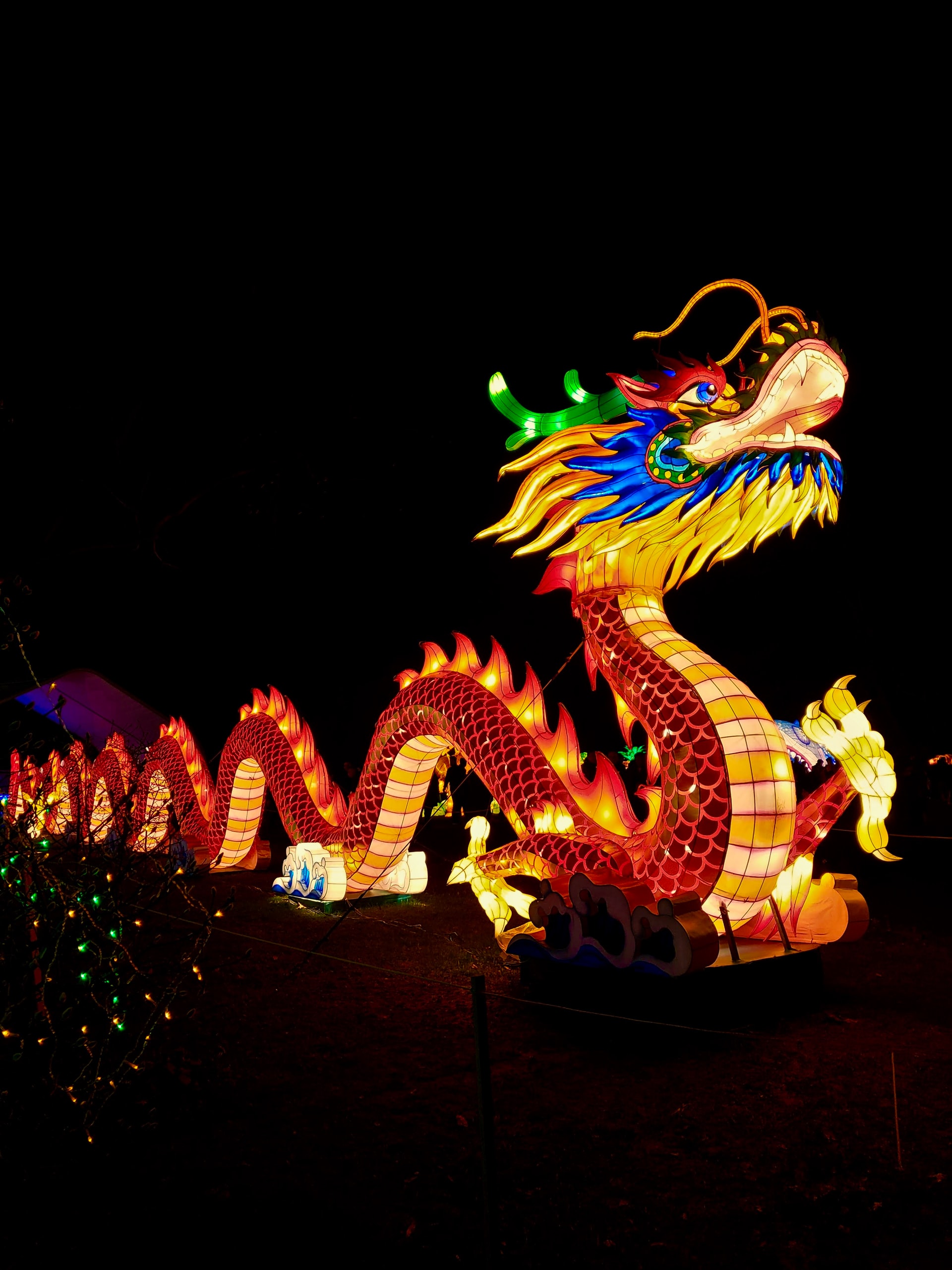 Chinese New Year